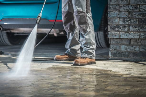 Best Dumpster Area Cleaning  in Coal Valley, IL