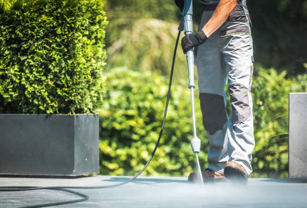Best Oil Spill Cleanup  in Coal Valley, IL