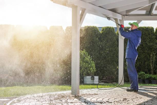 Best Sidewalk and Walkway Cleaning  in Coal Valley, IL